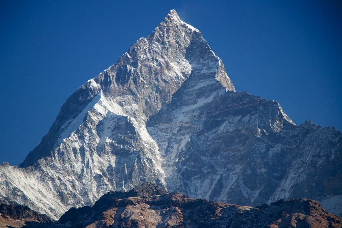 Annapurna & Fishtail
