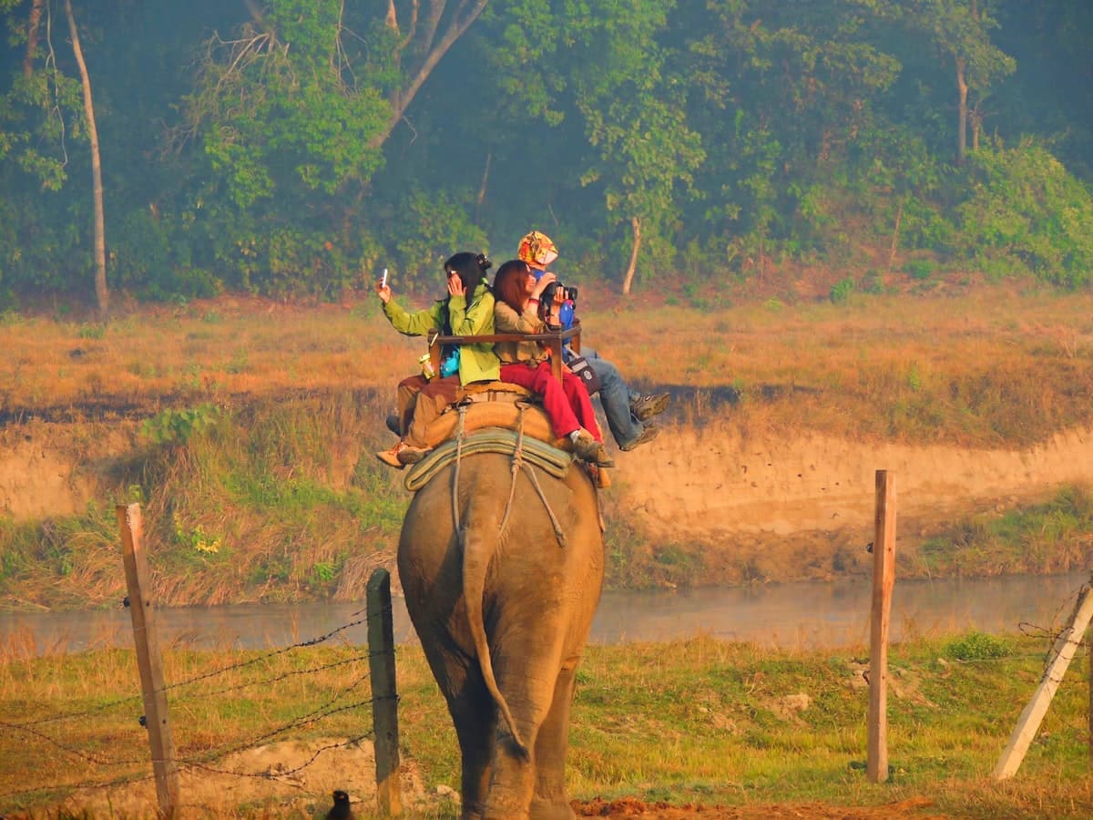 Elephant safari in Chitwan